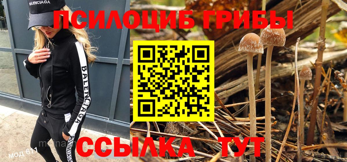 Псилоцибиновые грибы ЛСД Светлоград